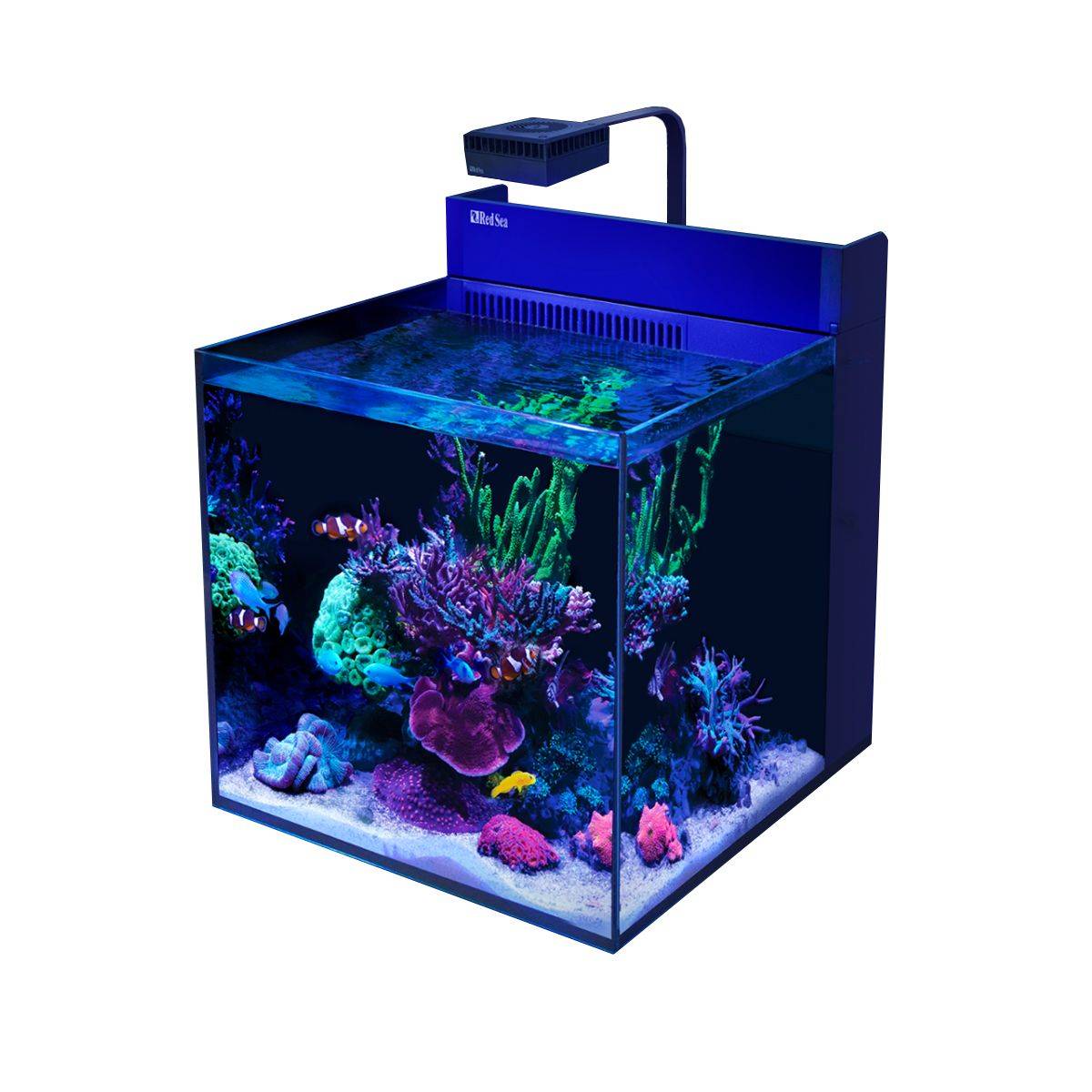 Red Sea MAX Nano Reef System