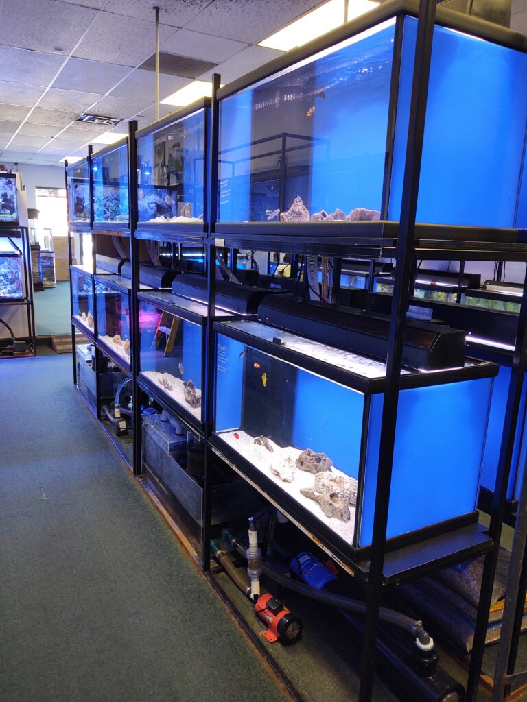 Aquatic livestock