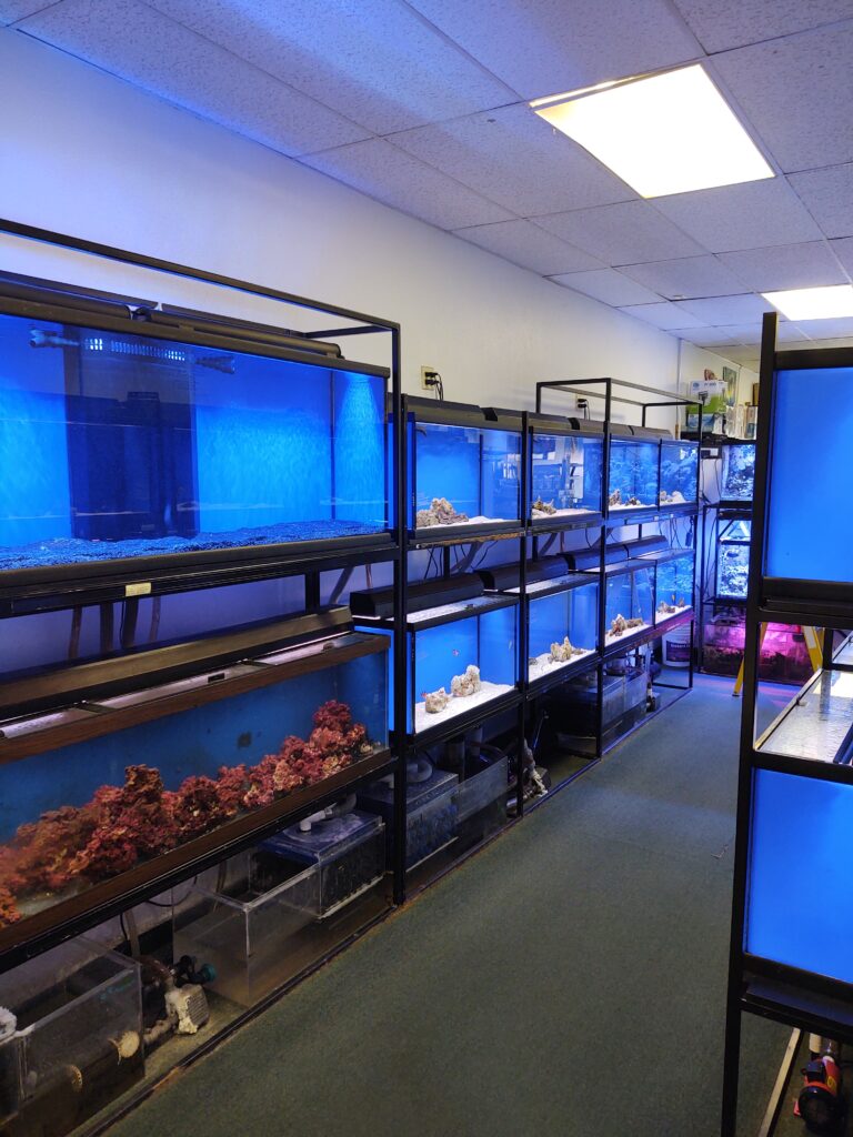 Store aquarium racks display